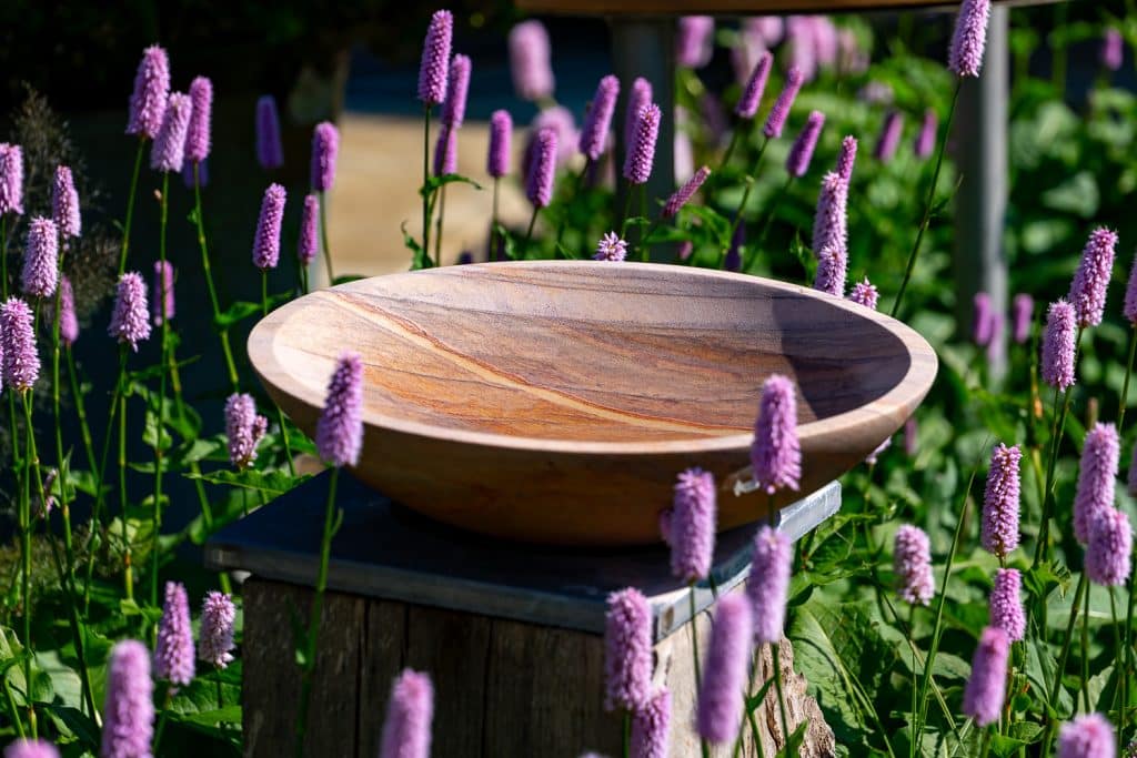 Rainbow Flight Bowl