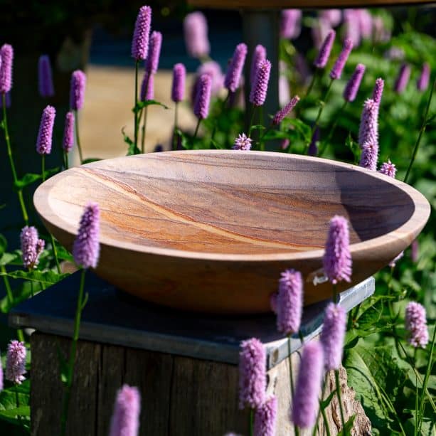 Rainbow Flight Bowl