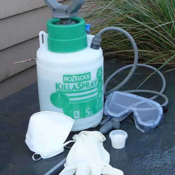 Chlorine Cleaning Kit