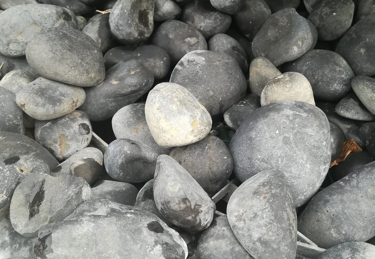 Buy pebble store