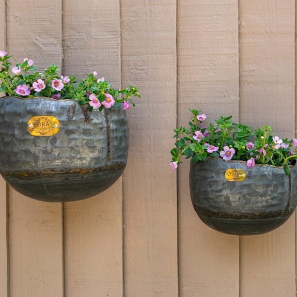 Myrtle wall planters