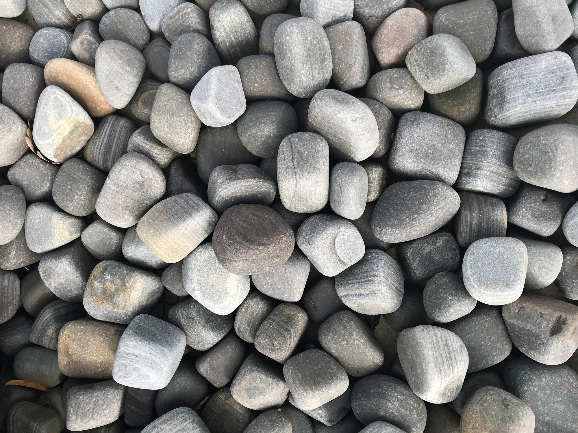 https://www.foras.co.uk/app/uploads/2020/04/Shark-Sandstone-Pebbles-LR-for-WEB.jpg
