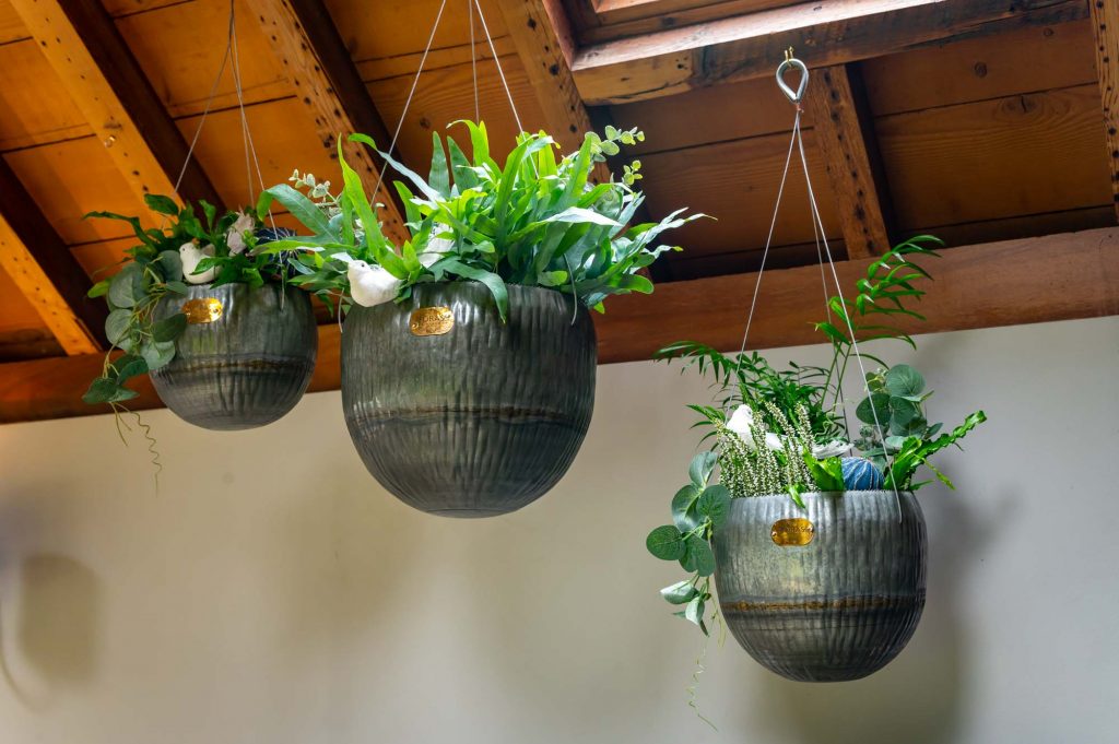 Angelica Hanging Planters