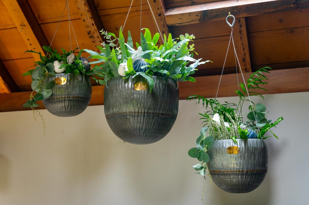 Angelica Hanging Planters