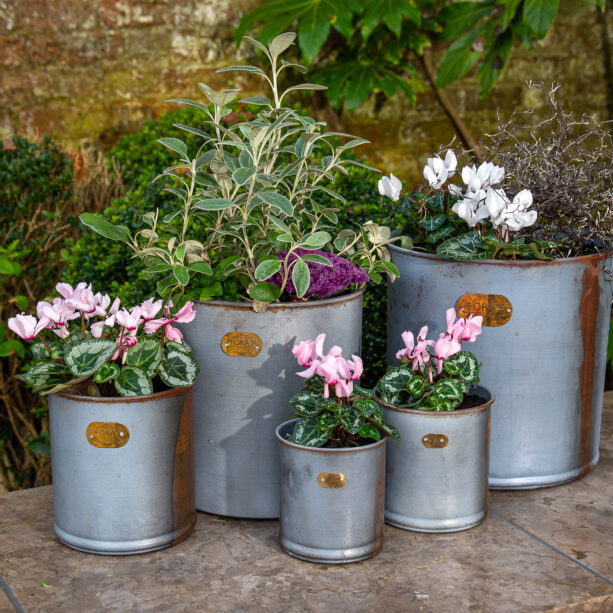 Hibiscus set of vintage planters