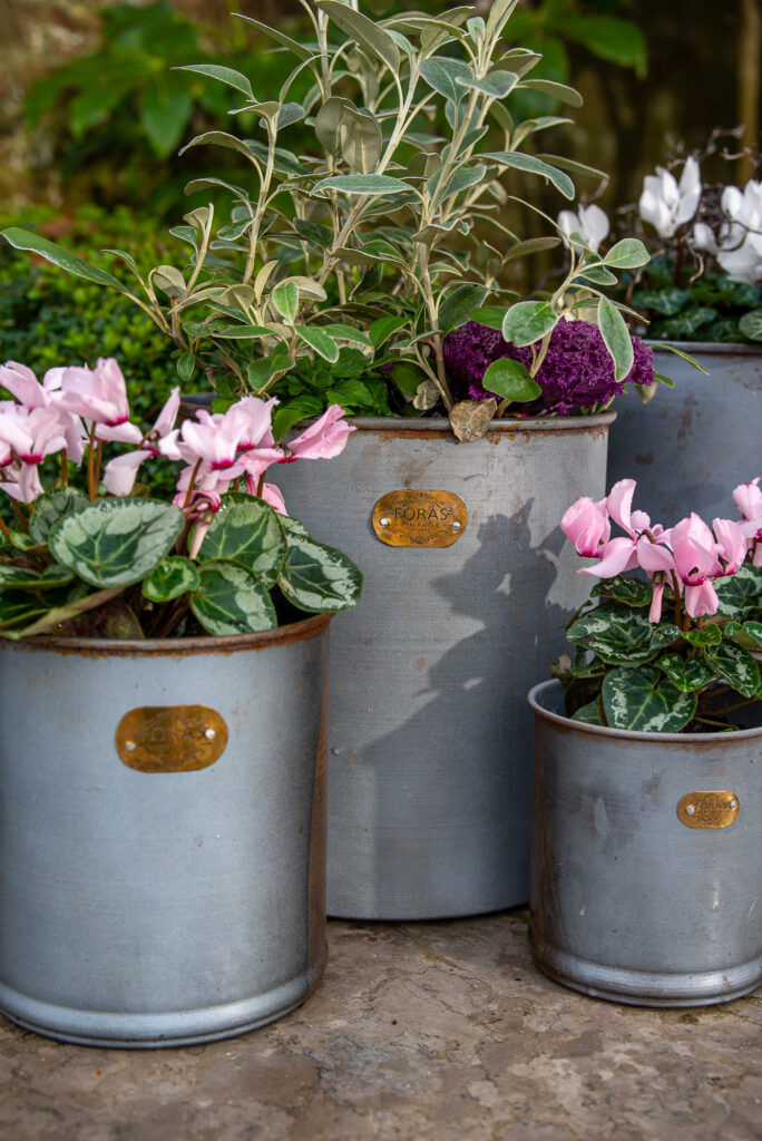 Hibiscus set of vintage planters