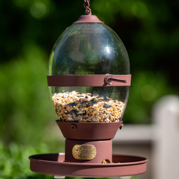 hazel bird feeder