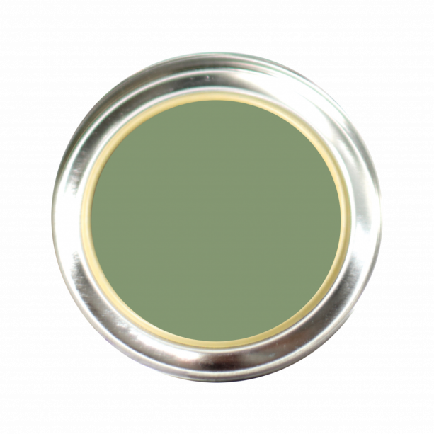 Thyme paint